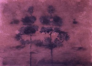 Misty Purple Forest by Santhosh ch