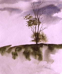 Moody Hillside Tree
