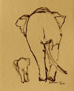 Mother Baby Elephants