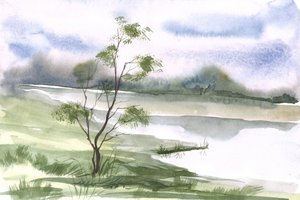 Peaceful Lakeside Tree