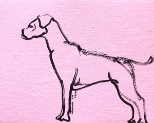 Pink Boxer Line Art by Santhosh ch
