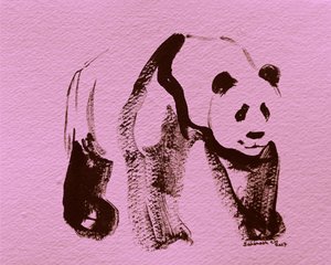 Pink Panda Brushstrokes by Santhosh ch
