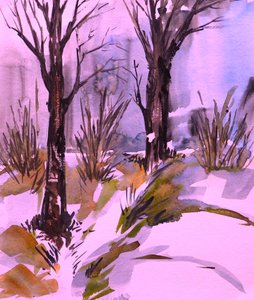Pink Winter Woods