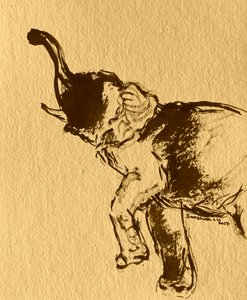 Playful Elephant Pose