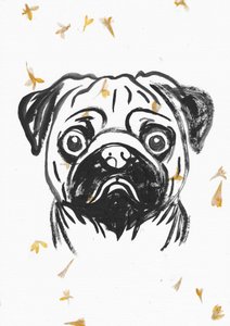 Pug With Falling Petals by Santhosh ch