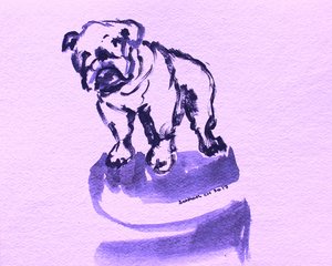 Purple Bulldog Sketch