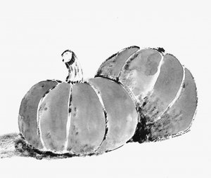 Rustic Autumn Pumpkins by Santhosh ch