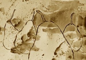 Rustic Pears Sketch by Santhosh ch