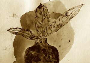 Sepia Botanical Still Life by Santhosh ch