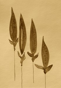 Sepia Watercolor Plants
