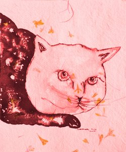 Serene Pink Cat