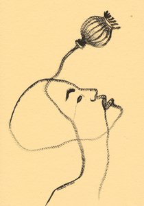 Serene Poppy Gaze by Santhosh ch