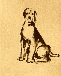 Sitting Beagle Sketch by Santhosh ch