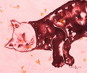 Sleeping Red Cat