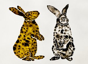 Spotted Rabbit Pair by Santhosh ch