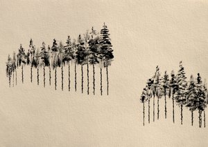 Stylized Pine Woods