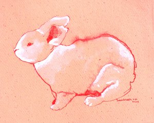 Sweet Little Rabbit by Santhosh ch