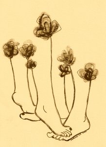 Whimsical Feet Flowers by Santhosh ch