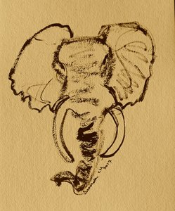 Wild Elephant Sketch