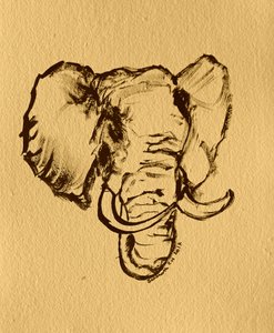 Wild Elephant Sketch by Santhosh ch