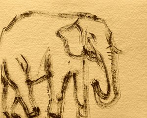 Wild Elephant Sketch