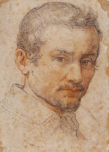 Head of a Young Man Turned Slightly to the Right