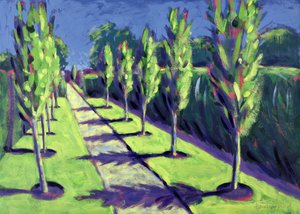 Avenue by Sara Hayward