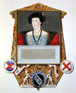Portrait of Sir Anthony Browne (1500-48) from 