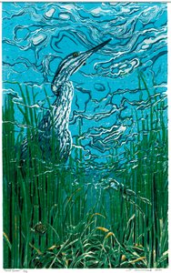 Pond Gazer by Sarah Drummond