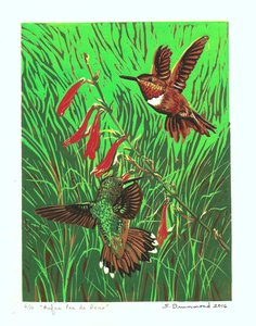 Rufus Pas de Deux by Sarah Drummond