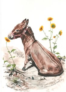 Stop and Smell the Flowers by Sarah Drummond