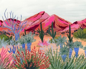 Colorful Desert Vista