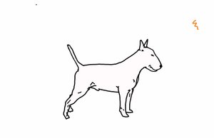 Bull Terrier by Sarah Thompson Engels