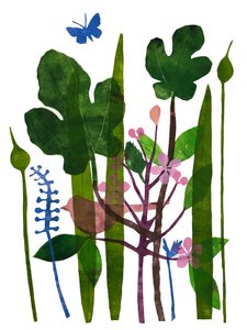 Fig Leaves by Sarah Thompson Engels