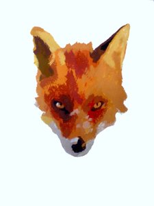 Fox Face by Sarah Thompson Engels