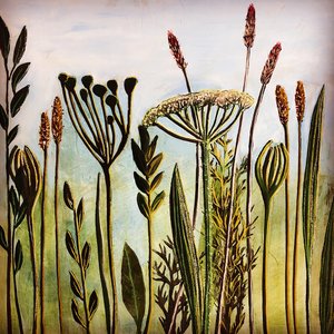Hogweed