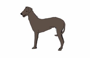 Hound, 2018 by Sarah Thompson Engels