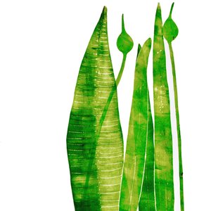 Long Green Things by Sarah Thompson Engels