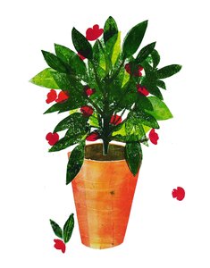 Orange Pot by Sarah Thompson Engels