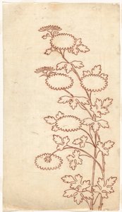 Chrysanthemums by Sasaya (workshop of)