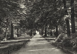 Berlin: Tiergarten
