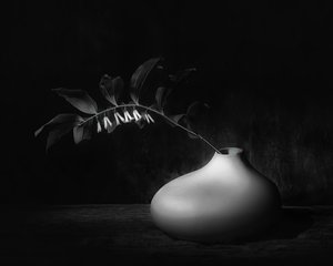 Dark Botanical Still Life by Saskia Dingemans