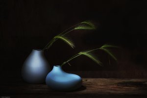 Dark Grass Still Life by Saskia Dingemans