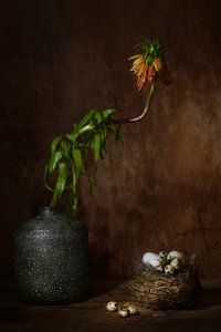Moody Floral Nest