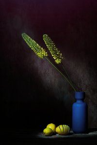 Moody Yellow Flowers Lemons by Saskia Dingemans