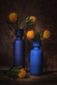 Orange Blooms in Blue by Saskia Dingemans