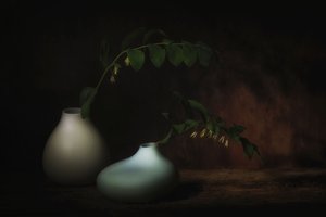 Serene Botanical Still Life by Saskia Dingemans