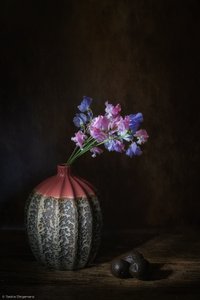 Sweet Peas Still Life by Saskia Dingemans