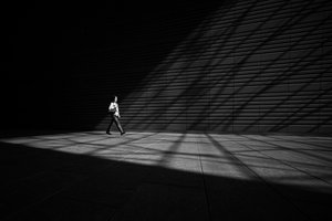 Man in Sunlight and Shadow