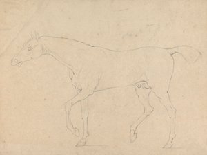 A Horse by Sawrey Gilpin